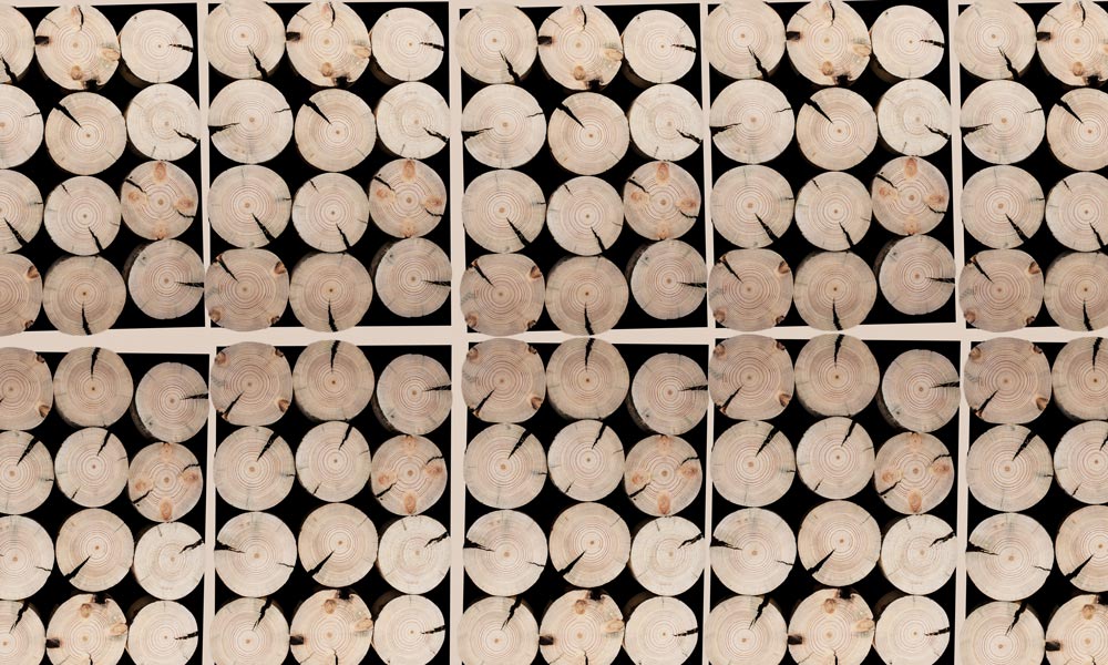 Rustic Log Stack Feature Mural Wallpaper