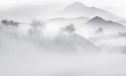 Decorate your house with this gorgeous, foggy woodland wallpaper mural!