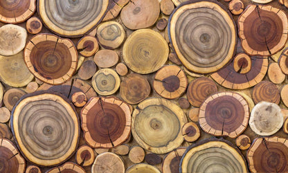 Patterned Wood Effect Wallpaper in Vibrant Colors Mural Room