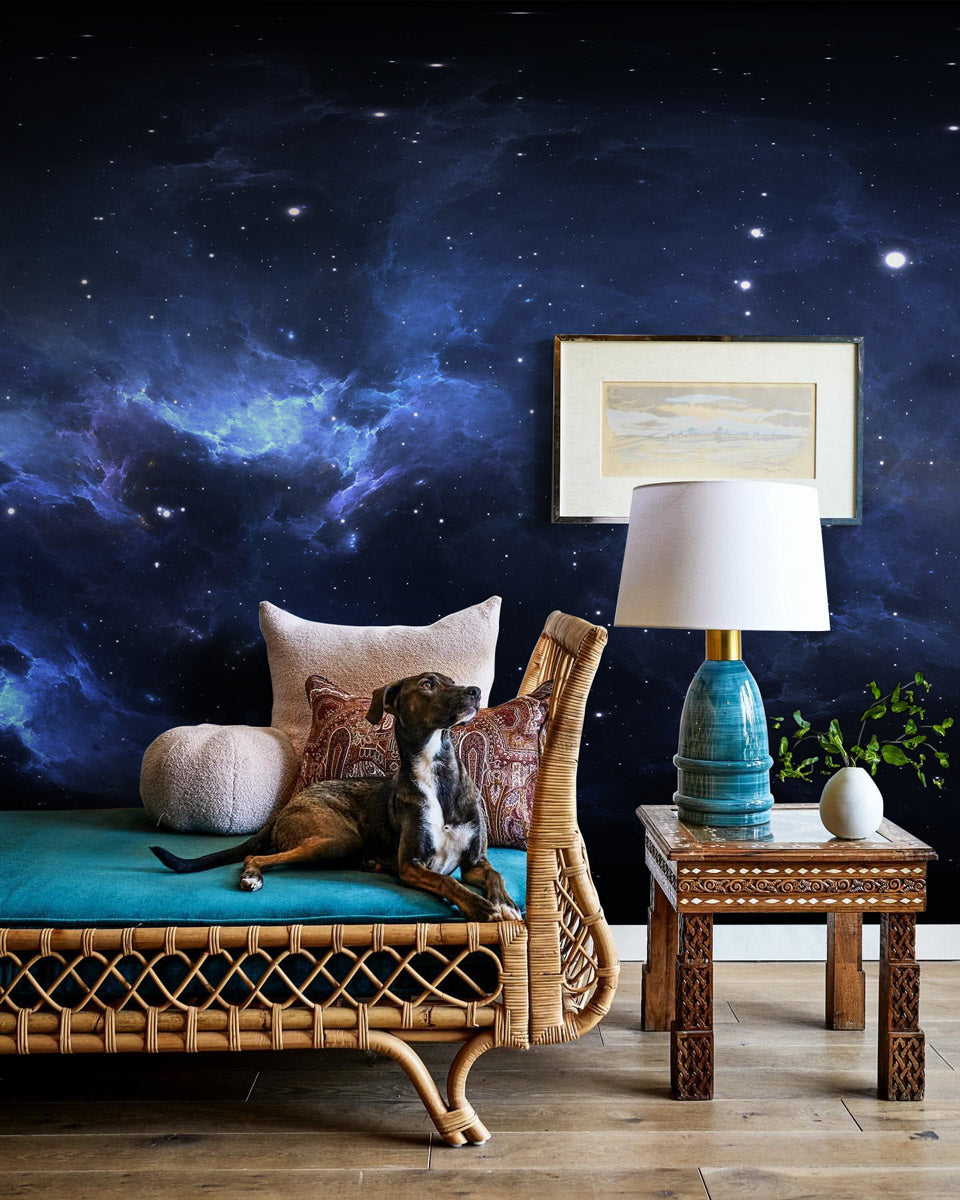 Stellar Night Horizon Mural Wallpaper