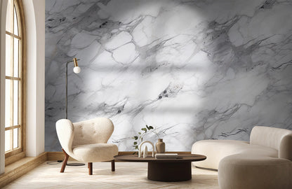 Gray Classic Marble Charm Mural Wallpaper in living room
