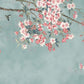 Elegant Cherry Blossom Branches Mural Wallpaper