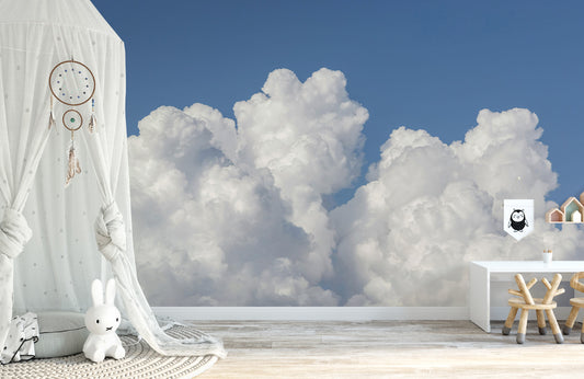 Papier Peint Panoramique Art Graphique Chevauché