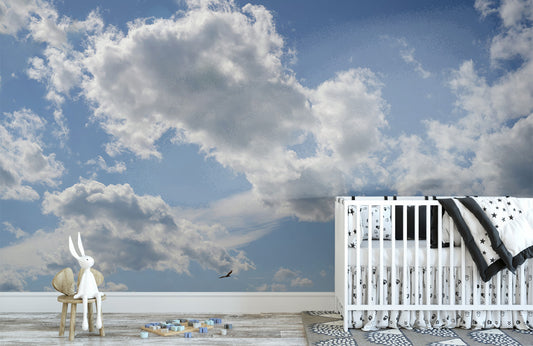 Papier Peint Panoramique Art Graphique Chevauché