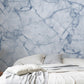 Icy Blue Marble Mural Wallpaper