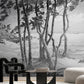 Serene Waterscape Reflection Mural Wallpaper