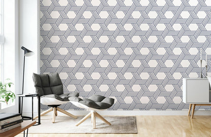 Interwoven Hexagonal Illusion Mural Wallpaper