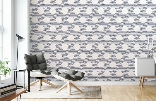 Interwoven Hexagonal Illusion Mural Wallpaper