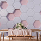 Hexagon Delight Mural Wallpaper