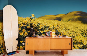 Papier Peint Panoramique Champ de Fleurs Sauvages au Sommet d'une Colline