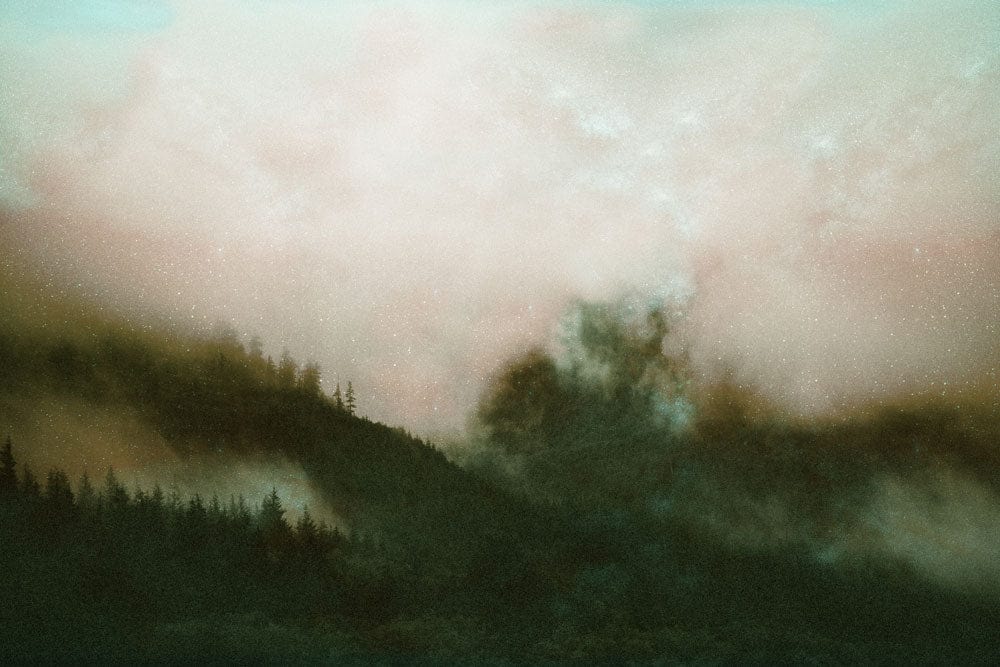 Mist Pouring Into Forest Wallpaper Mural