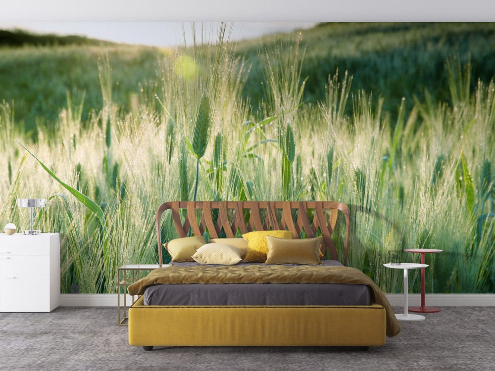 wheat with dew wallpaper mural art designn