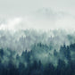 Misty Forest Natural Scenery Wall Mural