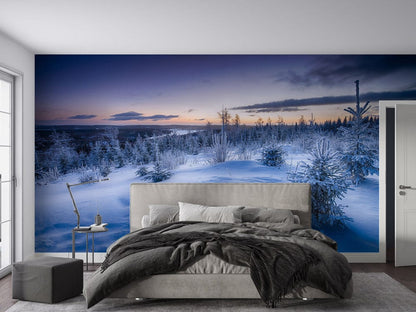 unique snow wallpaper mural art design