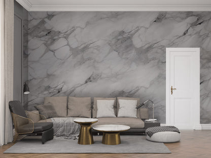 Gray Classic Marble Charm Mural Wallpaper in living room