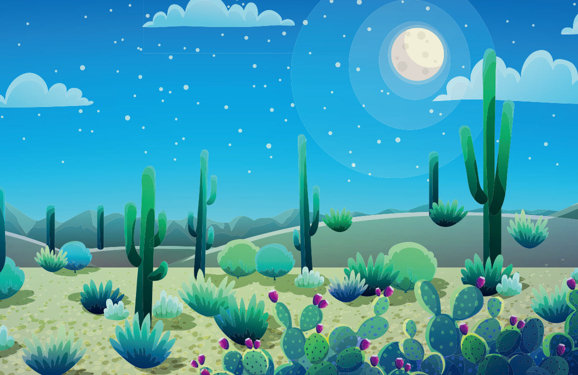 Papier Peint Panoramique Nuit Étoilée Cactus