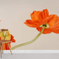 Vibrant Orange Floral Botanical Mural Wallpaper