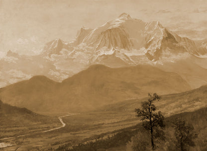 Maestoso Muro in Marmo Dorato Wallpaper