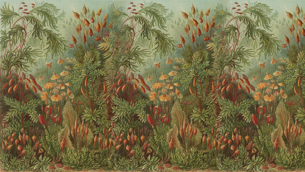 Verdant Grove Mural Wallpaper