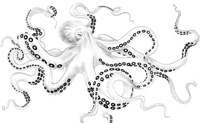 Nautical Black White Octopus Wallpaper