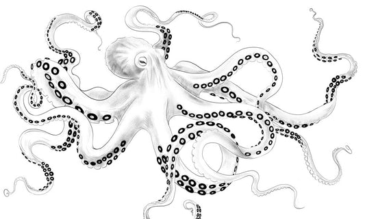 Nautical Black White Octopus Wallpaper