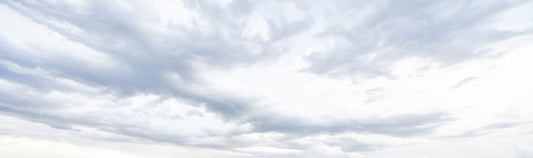 Papier Peint Panoramique Art Graphique Chevauché