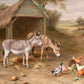 Rustic Farmyard Charm Mural Wallpaper