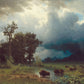 Majestic Meadow Storm Mural Wallpaper