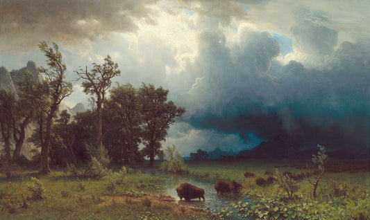 Majestic Meadow Storm Mural Wallpaper