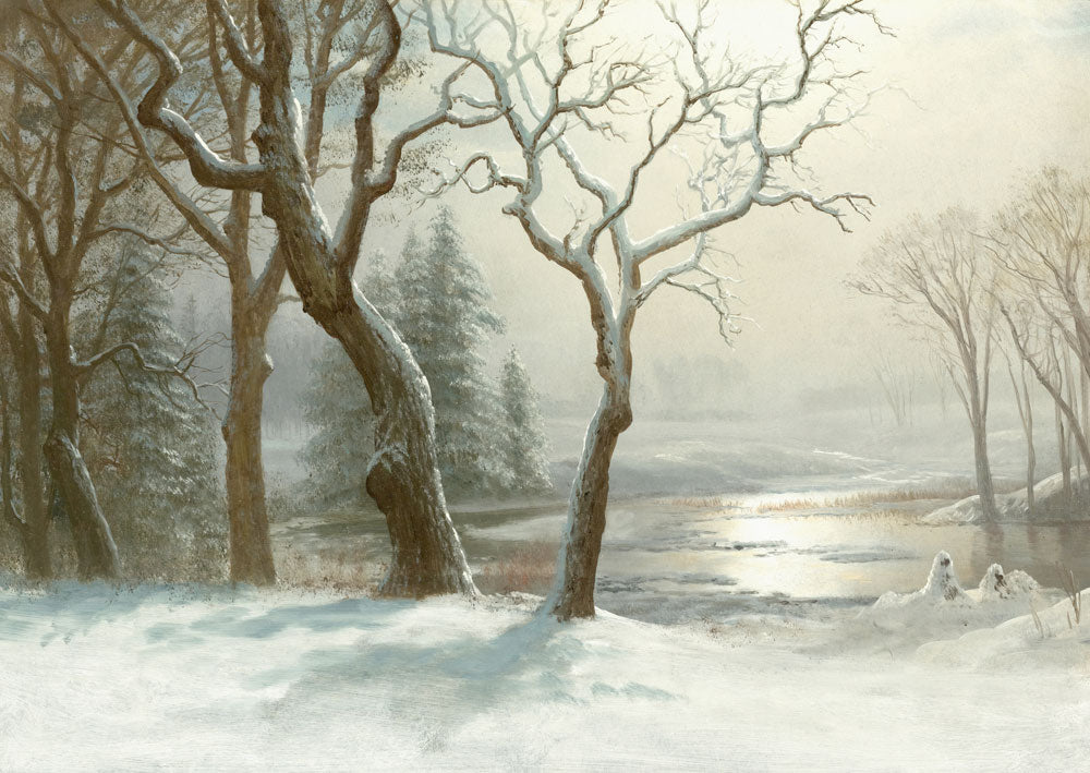 Silent Frosty Winter Forest Mural Wallpaper