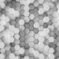 Chic Hexagonal Harmony Mural Wallpaper