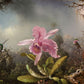 Orchid Harmony Haven Mural Wallpaper