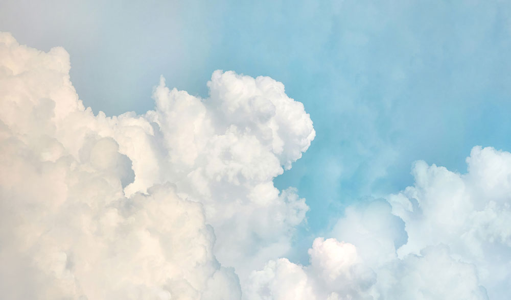 Cotton Sky Bloom Mural Wallpaper