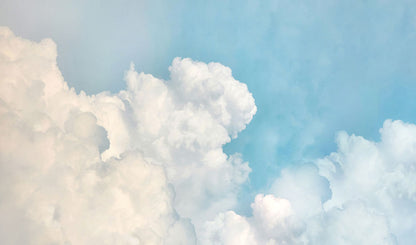 Cotton Sky Bloom Mural Wallpaper