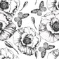 Vector Black & White Poppy Wallpaper Mural