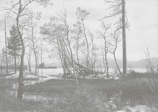 Maestoso Muro in Marmo Dorato Wallpaper