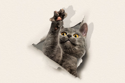 blue cat wallpaper murals that break apart the paper