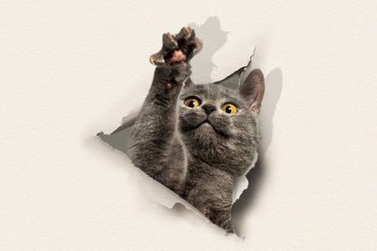 blue cat wallpaper murals that break apart the paper