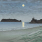 Moonlit Shoreline Mural Wallpaper