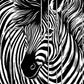 Zebra Stripes Mural Wallpaper