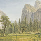 Tranquil Yosemite Vista Mural Wallpaper