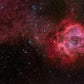 Cosmic Rose Nebula Mural Wallpaper