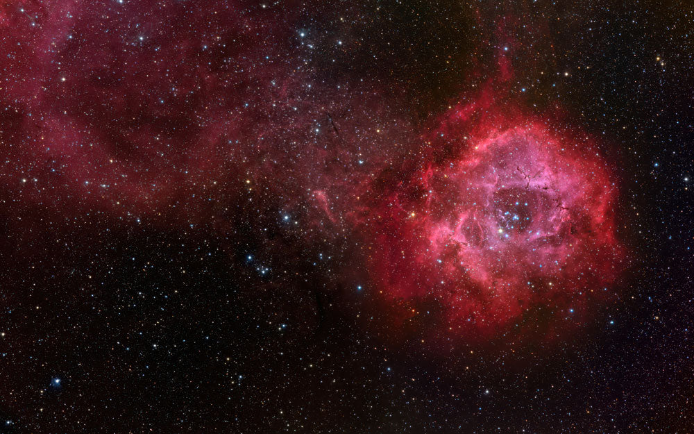 Cosmic Rose Nebula Mural Wallpaper