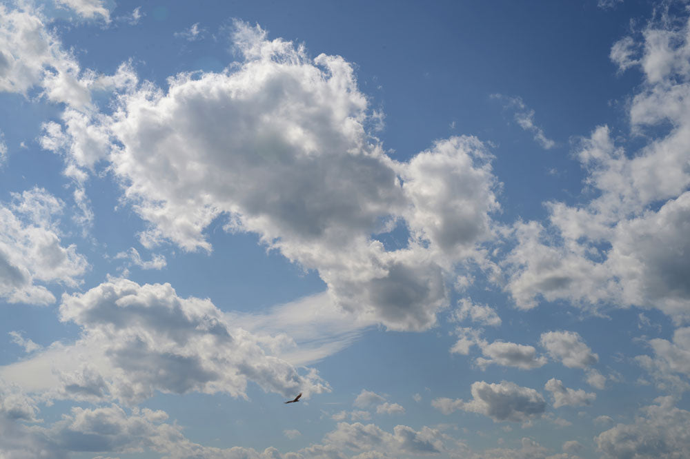 Freedom Sky Flight Mural Wallpaper