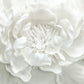 White Floral Elegance Mural Wallpaper