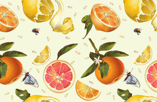 Citrus Butterfly Vibrant Kitchen Mural Wallpaper