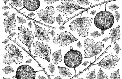 Modern Geometric Moon Phases Wallpaper for Wall