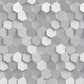 Monochrome Hexagonal Elegance Mural Wallpaper