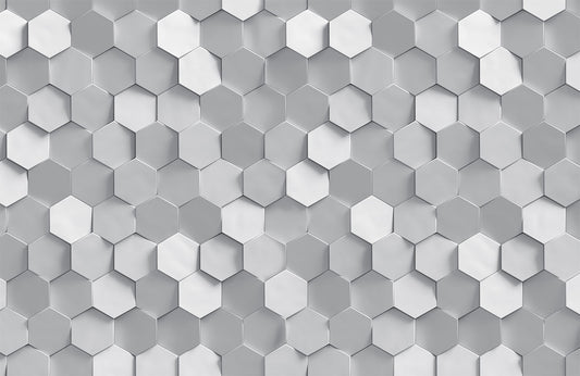 Monochrome Hexagonal Elegance Mural Wallpaper