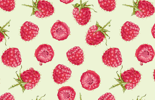 Pink Raspberry Botanical Mural Wallpaper